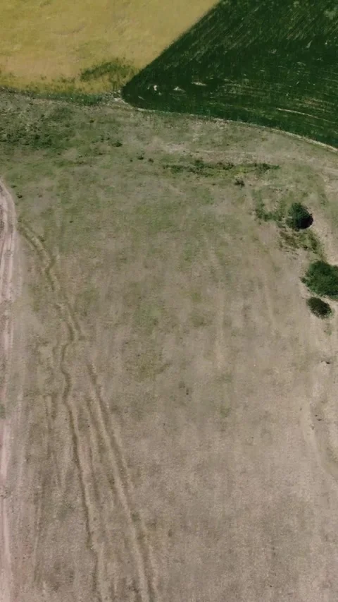 Top down view of parched steppe earth and unpaved offroad tracks in Kazakhstan Видео 338128209