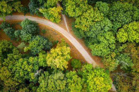 Top down view on path and autumn trees on park, Poland. Stock Photos