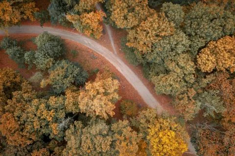 Top down view on path and autumn trees on park, Poland. Stock Photos
