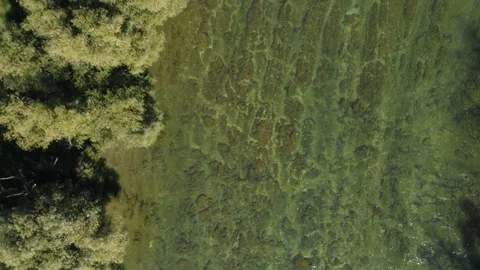 A top-down view of a peaceful shallow river with clear water. Stock Footage 285773072
