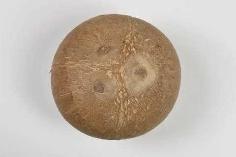 Top down view of a peeled coconut shell on white 库存照片