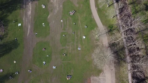 Top Down View Of People In Park Push Foward 스톡 동영상 245755536