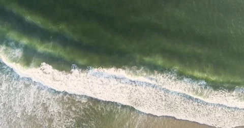 A Top Down View of People Surfing on a Beautiful Beach. Concept The joy of .. Vídeo Stock 313869879