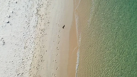 Top down view of the perfect white sandy beach. Reveal shot. Troia Portugal Stock Footage 130140782