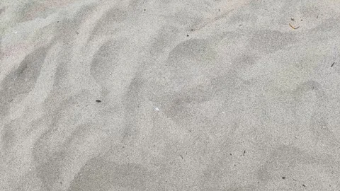 Top Down View of Person Walking Barefoot on Fine Beach Sand Stock Footage 340327908