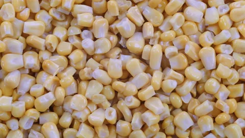 Top down view. Pile of boiled and pickled corn kernels. Slider shot. 動画素材 296528397