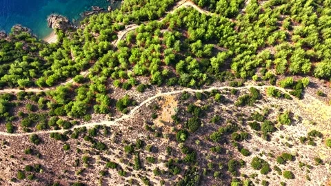 Top down view of a pine forest with dirt paths on Thassos, Greece Stock Footage 347172160