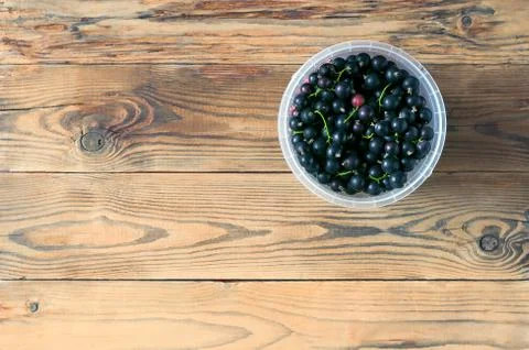 Top-Down View of the Plastic Container of Black Currant Berries and Red Goose Stock Photos
