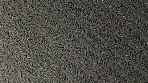 Top-down view of plowed rural soil texture near Olza, Piacenza, Italy, slow.. Stock Footage 307771228