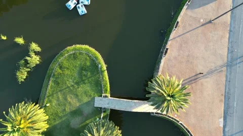 Top-Down View of a Pond and Pedal Boats Stock Footage 296922544