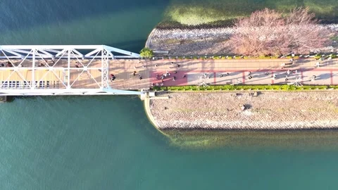 Top Down View of Promenade | Pedestrians - 4K Aerial Video Stock-Footage 333193598