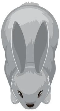 Top-Down View of a Rabbit Stock Illustration