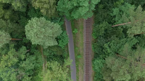 Top down view of railway line through Muskau forest Vídeos de archivo 340646924