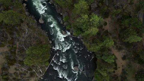 Top Down View of Rapids in River with Trees and Large Boulders  Stock Footage 249820388