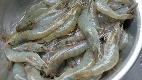 Top Down View of Raw Unshelled Shrimp in 4k Stock Footage 100799753