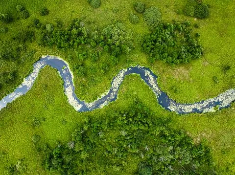 Top down view of river and swamps in summer Stock Photos