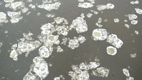 Top-down view of river covered with pancake ice. Scenic winter landscape. 스톡 동영상 305608420