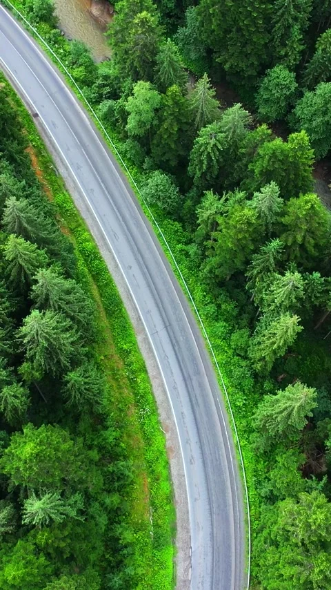 Top down view of the road among the coniferous forest. Stockbeeldmateriaal 343572054