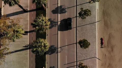 Top down view of road and palm tree Stock Photos