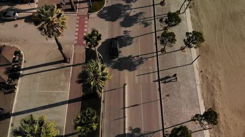 Top down view of road and palm tree Stock Photos