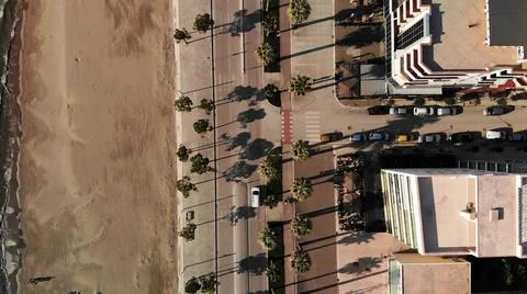 Top down view of road and palm tree Stock Photos