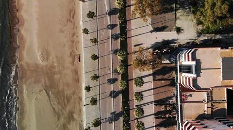 Top down view of road and palm tree Foto stock