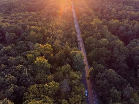 Top-down view of a road leading through a forest. Sunset and golden hour. Car Foto stock