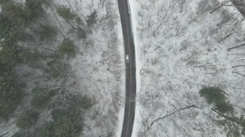 Top down view of road through forest in Wisconsin. Stock Footage 166258023