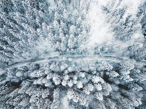 Top down view, a road trough snowy winter forest Stock Photos
