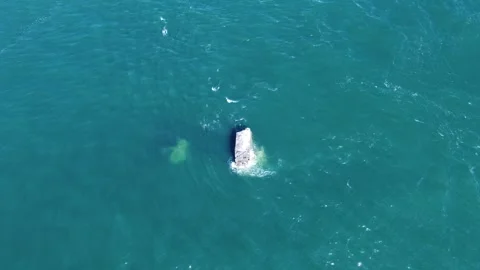 Top Down View Of A Rock Surrounded By Water 스톡 동영상 245755505