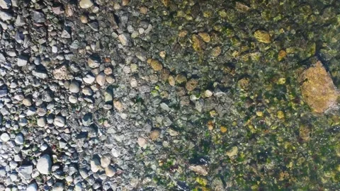 A top-down view of a rocky beach, with clear water, pebbles and seaweed Stock Footage 285997590