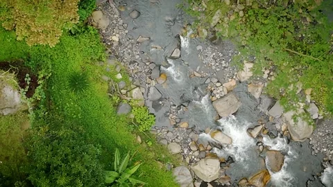 Top-down view of rocky river current surrounded by dense green vegetation Video stock 316790702