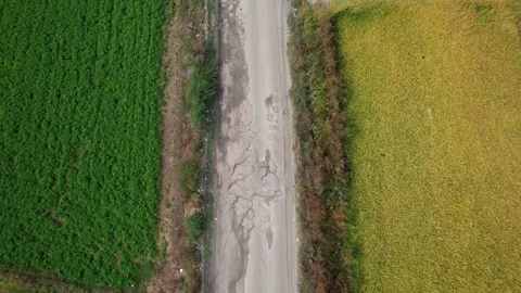 Top down view of a ruined asphalt road located between green field on the left a Stock Footage 161847457