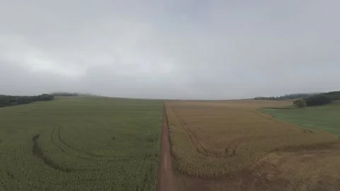 Top-Down View of Rural Dirt Road Across Agricultural Fields Stock Footage 309939798
