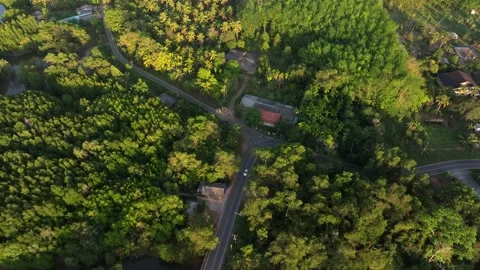 Top-down view of Salak Khok coastal mangroves under sunset light, Thailand Video stock 310392781