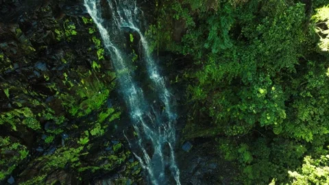 Top Down View of Salto Cristal in Paraguay, Waterfall Dropping into Jungle Pond Stock Footage 307574743