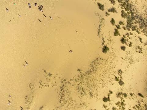 Top down view of sand dune in summer. Aerial view. Sandy desert 스톡 사진