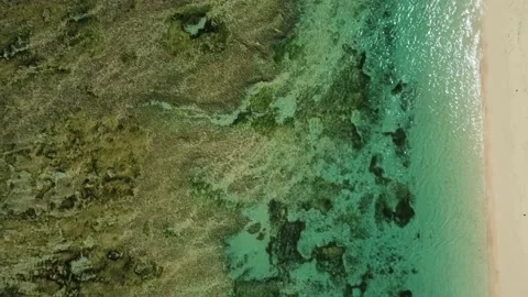 Top down view on sandy beach with reef Stock Footage 154850628