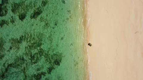 Top down view on sandy beach with reef Stock Footage 155032654