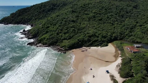 Top-down view of sea, stones, sand and forest Stock Footage 229851783