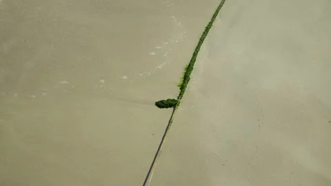 Top down view of seaweed line and incoming wave on an Italian beach Stock Footage 338132208