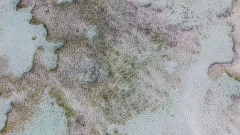Top Down View of Shallow Coral Reef and Clear Ocean Water Ripples Background 스톡 동영상 346799543
