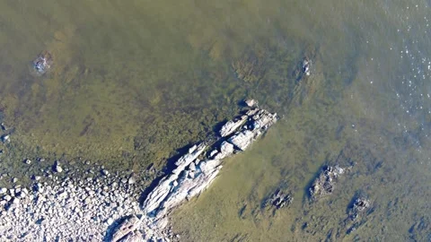 Top-down view of shallow green coastal water and rocks, Montevideo Stock Footage 308759234