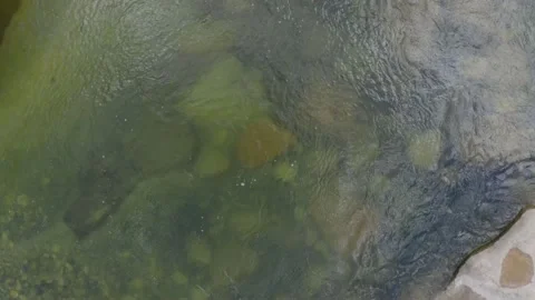 Top down view of a shallow stream with clear waters and many pebbles Stock Footage 160324291