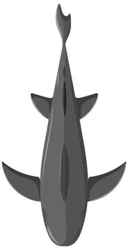 Top-Down View of a Shark Stock Illustration