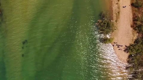 Top Down View of the Shore of a Lake in Spain Vídeos de archivo 130803123