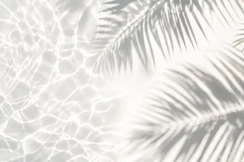 Top-down view showing soft shadows of palm fronds overlaid on a bright, Stock Photos