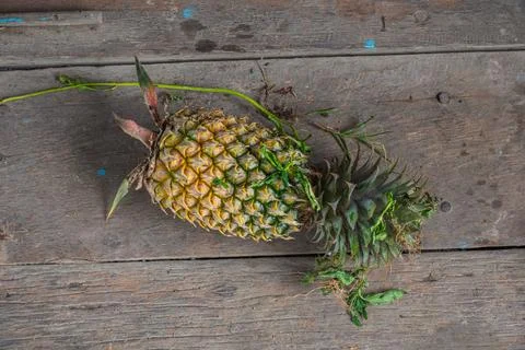 Top down view of a single freshly harvested ripe whole pineapple fruit with.. Stock Photos