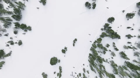 Top down view on ski elevators on snow mountain landscape at overcast moody day 스톡 동영상 251937684