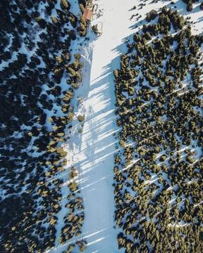 Top-down view of ski run cut through pine forest Stock Photos